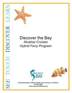 Discover the Bay - Aquarium of the Bay