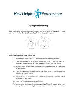 Diaphragmatic Breathing - New Heights Performance Physical