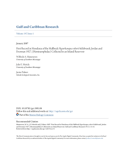 First Record in Honduras of the Halfbeak Hyporhampus roberti