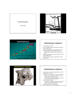 Fossil Hominids