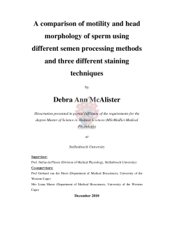 A comparison of motility and head morphology of sperm