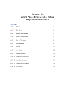 SASY Bylaws