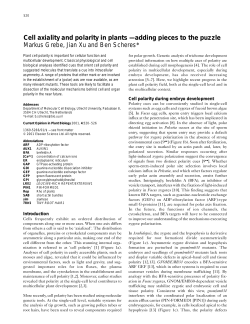 Cell axiality and polarity in plants