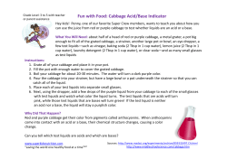 Fun with Food: Cabbage Acid/Base Indicator