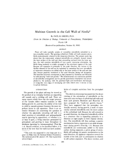 Multinet Growth in the Cell Wall of Nitella