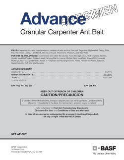 Granular Carpenter Ant Bait