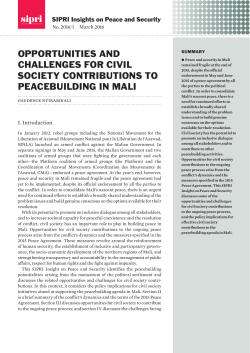 opportunities and challenges for civil society contributions to