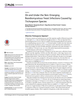 On and Under the Skin: Emerging Basidiomycetous Yeast