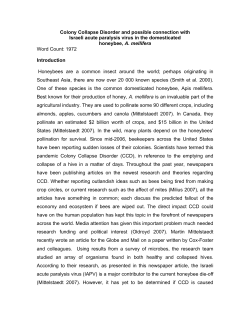 Colony Collapse Disorder and possible connection with Israeli acute