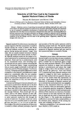 Selectivity of Gill Nets Used in the Commercial Spanish