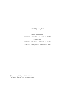 Packing seagulls - Princeton Math