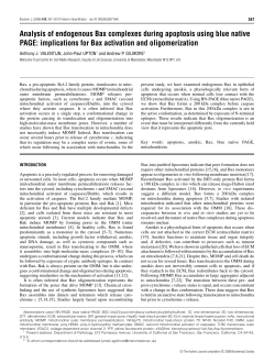 Analysis of endogenous Bax complexes during apoptosis using blue