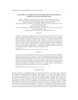 anatomical studies of the flower, fruit and seeds of myrceugenia rufa