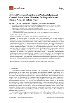 Hybrid Processes Combining Photocatalysis and Ceramic