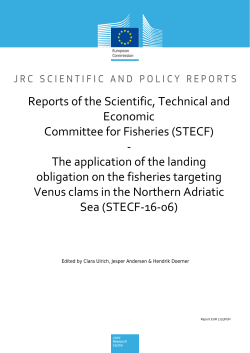 2016-04_STECF 16-06 - Venus clam_JRC101340