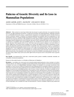 Patterns of Genetic Diversity and Its Loss in Mammalian Populations