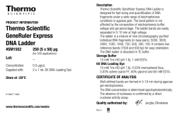 GeneRuler Express DNA Ladder, 250ug