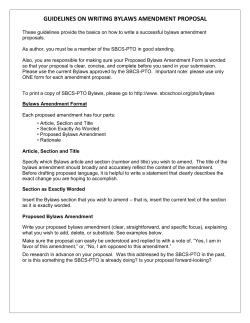 Amendment Proposal Guidelines