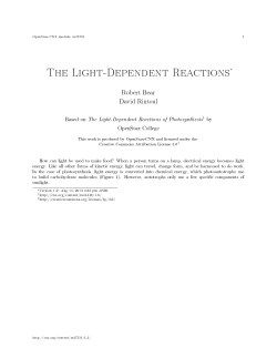 The Light-Dependent Reactions