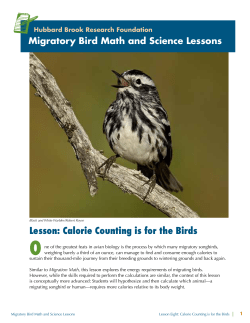 Lesson: Calorie Counting is for the Birds