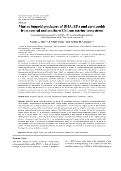 Marine fungoid producers of DHA, EPA and carotenoids
