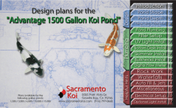 Design Plans For The Advantage 1500 Gallon Koi Pond