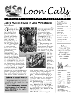 2010 - Greater Lake Sylvia Association