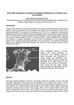 Sr/Ca-SST equations in relation to skeletal architecture in a Porites