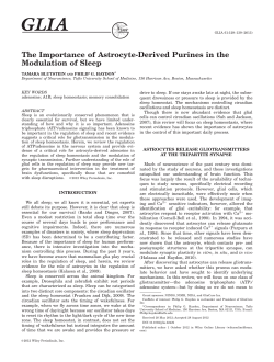 The Importance of astrocyte‐derived purines in the modulation of