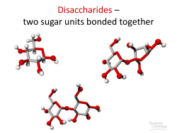 Disaccharides &ndash; two sugar units bonded together