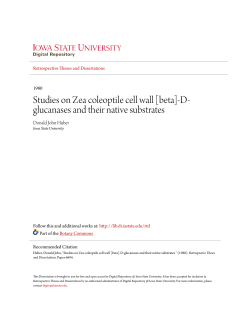 Studies on Zea coleoptile cell wall [beta]