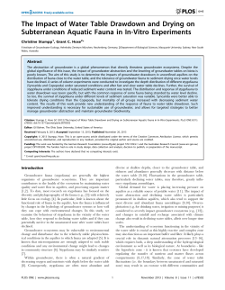 The Impact of Water Table Drawdown and Drying on Subterranean