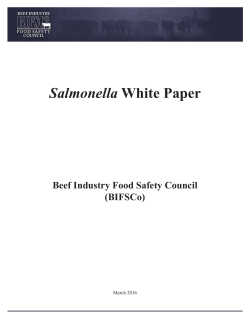 Salmonella White Paper