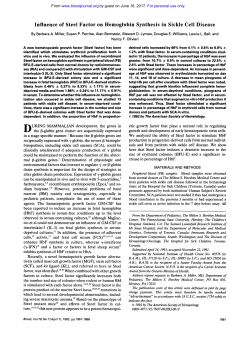 Influence of Steel Factor on Hemoglobin Synthesis