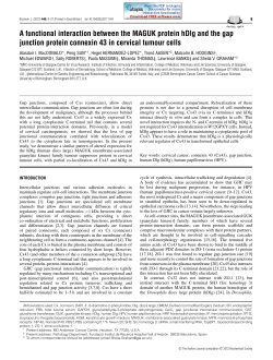 A functional interaction between the MAGUK protein hDlg and the
