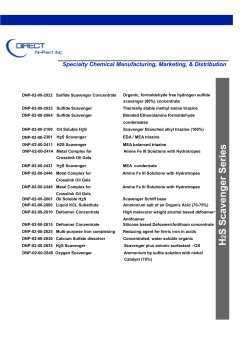 H2S Scavenger Series - Information - Direct N