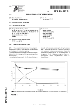 Method of producing nylon - European Patent Office