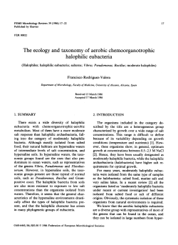 The ecology and taxonomy of aerobic chemoorganotrophic