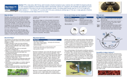 Bactimos Technical Use Bulletin
