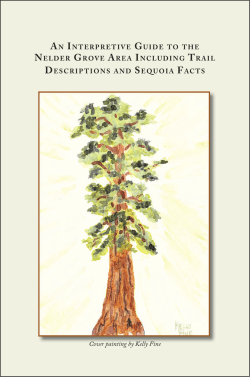 an interpretive guide to the nelder grove area