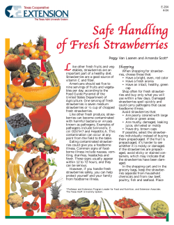 Safe Handling of Fresh Strawberries