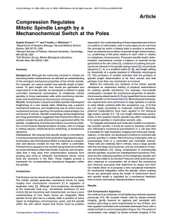 Compression Regulates Mitotic Spindle Length