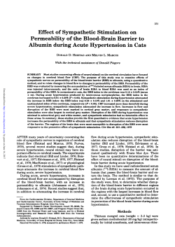 Effect of Sympathetic Stimulation on Permeability of the Blood