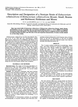 Description and Designation of a Neotype Strain of Eubacterium and
