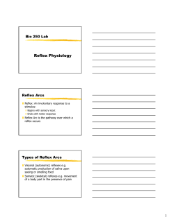 Reflex Physiology - Academic Resources at Missouri Western
