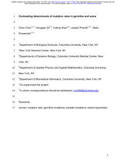Contrasting determinants of mutation rates in germline and