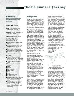 The Pollinators` Journey