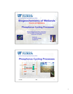 Lecture-9-pdf - Soil and Water Sciences Department