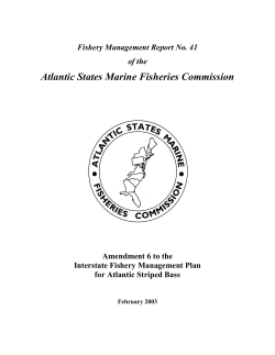 Amendment 6 to the Interstate Fishery Management Plan for Atlantic