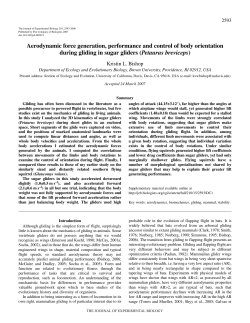 Aerodynamic force generation, performance and control of body